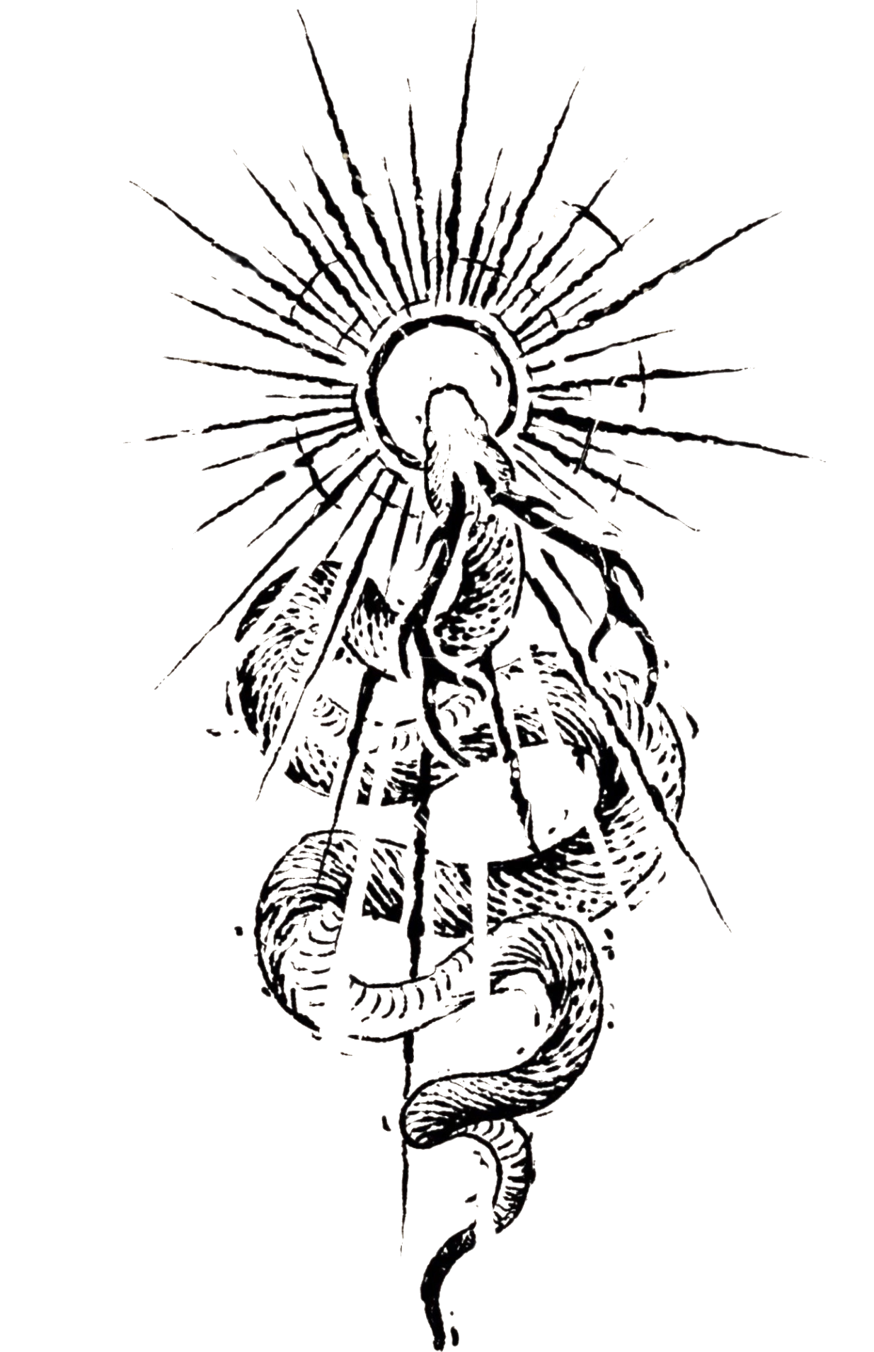 The Flight of The Dragon seal — a serpent rising into radiant light